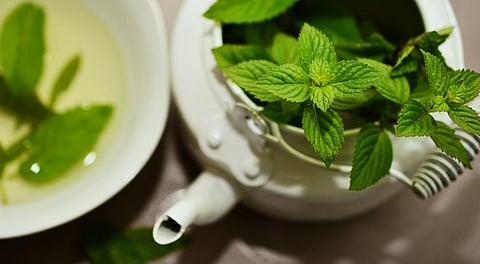 Green Tea Can Help You to Deal With Tooth Sensitivity