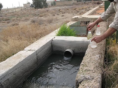 India Among 5 Countries Cultivating Raw Wastewater For Irrigation