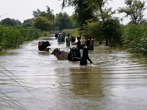 Rain wreaks havoc in some states; deficit rainfall in others