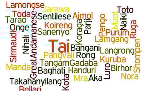 India is on the verge of losing about 300 Languages out of 800: Find out Why!