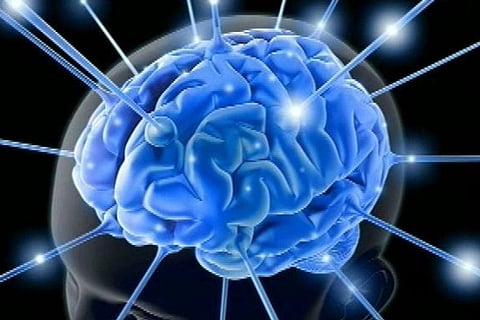 Information flows through only 20 percent of  brain region