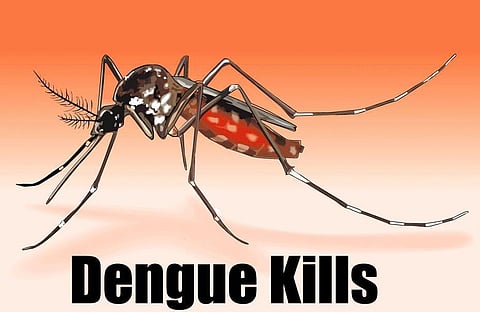 Delhi records highest dengue cases as national count doubles