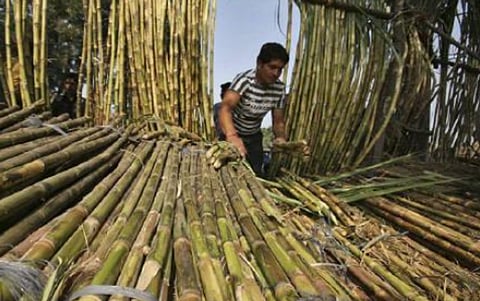 Ebbing sugar rush: The fall of Indian sugar industry