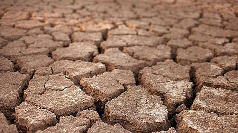 Ignoring looming drought in Bihar, politicians fight for ‘pride’ and ‘change’