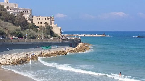 Opolfed launches its online shopping site