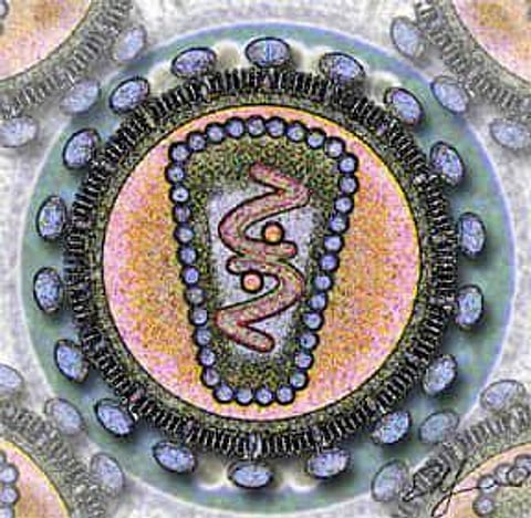 New experimental HIV vaccine offers hope