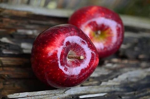 Are you eating right? 10 interesting facts on food safety highlighted by WHO