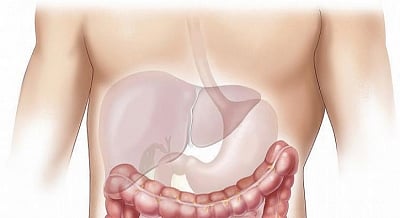 About 25 per cent or one in four adults worldwide has a liver condition, often undiagnosed, that raises risk for heart disease, according to a new American Heart Association scientific statement. (IANS)
