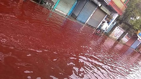 17 साल पहले केरल में आसमान से जब खून की वर्षा होने लगे तो इसने सबको अचंभित कर दिया [X]