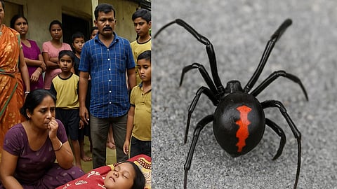 असम के कोकराझार जिले से एक दर्दनाक और चौंकाने वाली घटना सामने आई है, जहां सिर्फ 7 साल की एक बच्ची की मौत एक काली मकड़ी के काटने से हो गई। (Sora AI)