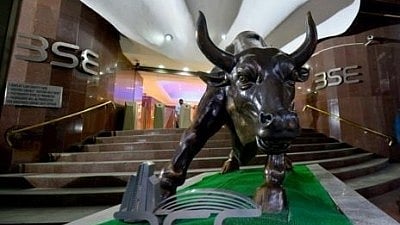 एक बुल्ल की तस्वीर है 