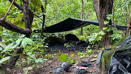 झारखंड  (Jharkhand) के पनतीतरी जंगल की तस्वीर
 