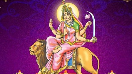 मां कात्यायनी शेर पर सवार हो कर बैठी है 