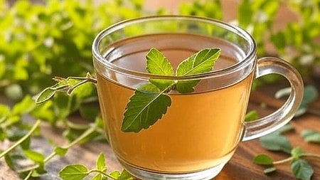 एक कप में तुलसी का काढ़ा तुलसी का काढ़ा