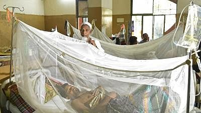 बांग्लादेश में डेंगू का कहर, 24 घंटे के भीतर 9 और लोगों की मौत