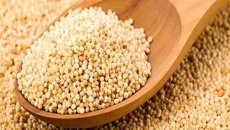 खसखस, आयुर्वेदिक फायदे, मानसिक थकान, पेट रोग, प्राकृतिक इलाज।
