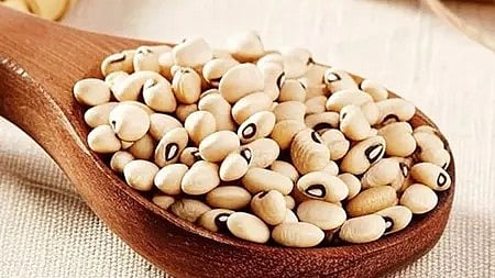 स्वस्थ और पोषण से भरपूर भोजन का चित्र|