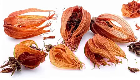 स्वस्थ और लाभकारी जावित्री मसाला की तस्वीर|