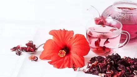 गुड़हल का फूल दिखाई दे रहा है|