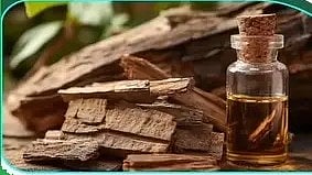 मधु और लकड़ी का सेट, स्वास्थ्यवर्धक उपयोग के लिए।