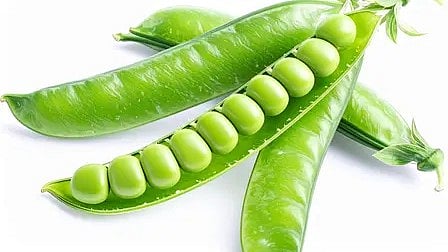 ताजे मटर के दाने, रसोई में स्वास्थ्यवर्धक और पोषक तत्वों से भरपूर|