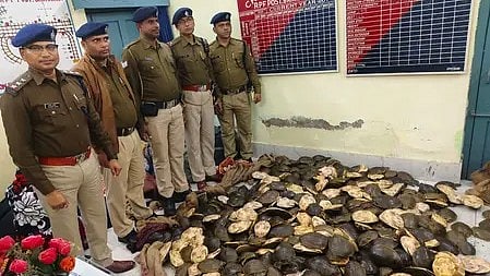 ईस्टर्न रेलवे आरपीएफ ने 'ऑपरेशन वाइलैप' तहत स्करी में 790 कछुए बरामद|