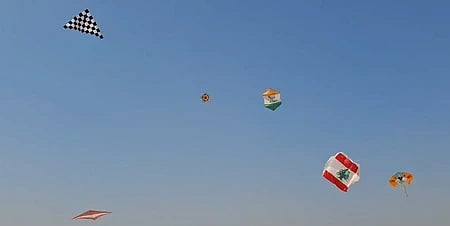 इस तस्वीर में आसमान में उड़ते हुए पतंगों को देखा जा सकता है। 