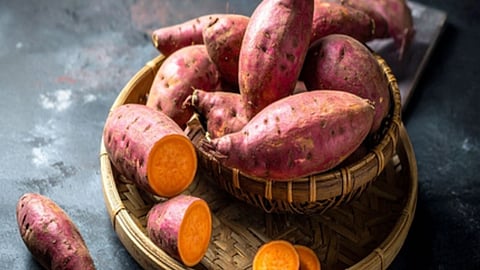 शकरकंद की तस्वीर 
