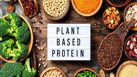 खाने की तस्वीर  