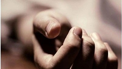 इस इमेज में एक हाथ के चित्र को देखा जा सकता है। 