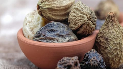 इस इमेज में त्रिफला को देखा जा सकता है। 