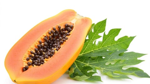 पीछे सफेद बैकग्राउंड पर कटा हुआ पका पपीता और उसके साथ हरी पत्तियां दिखाई दे रही हैं।
