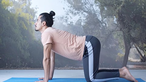 एक व्यक्ति योगा मैट पर मार्जरी आसन (कैट-काउ पोज़) करते हुए, घुटनों और हथेलियों के बल झुकी हुई रीढ़ को नीचे की ओर मोड़कर स्ट्रेच कर रहा है, आसपास धुंध भरा शांत प्राकृतिक वातावरण दिखाई दे रहा है।