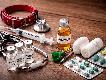 एक्शन प्लान लॉन्च 