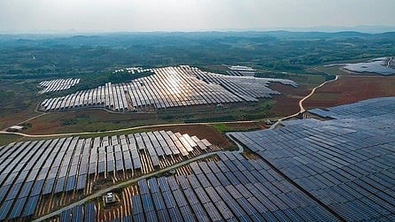 चीन में लगाया गया  एक प्लांट। 