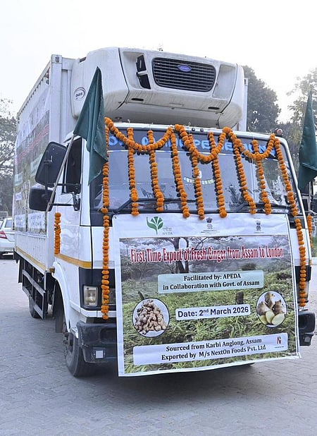 ‘किसानों ने वैश्विक मंच पर कदम रखा’: जीआई-टैग वाले कार्बी आंगलोंग अदरक के पहले निर्यात पर बोले सरमा