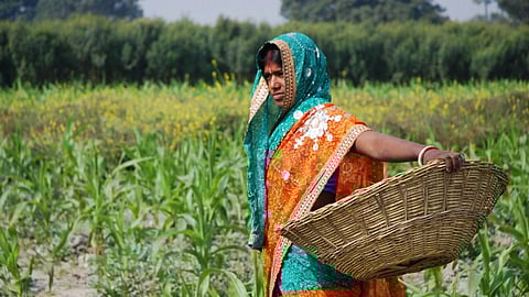 एग्रोइकोलॉजिकल होमस्टेड मॉडल 