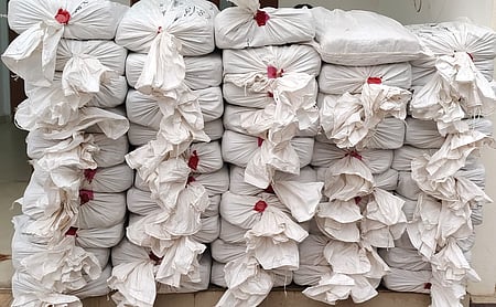 असम में एनसीबी की बड़ी कार्रवाई: दो तस्कर गिरफ्तार, 524.9 किलो गांजा जब्त