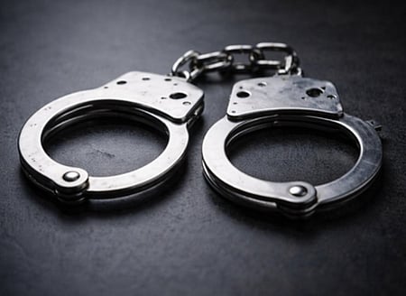 मुंबई एयरपोर्ट पर कस्टम विभाग ने 12 किलो हाइड्रोपोनिक वीड और 409 ग्राम सोना बरामद, पांच गिरफ्तार