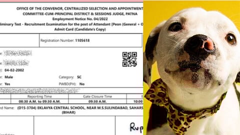 प्रवेश पत्र में कुत्ते की तस्वीर 