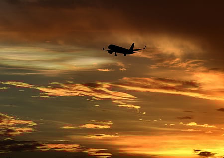 कतर से 700 भारतीयों की घर वापसी, रियाद के लिए भारतीय एयरलाइंस की उड़ानें शुरू