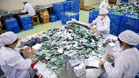 दवाई की पैकिंग करते लोग। 