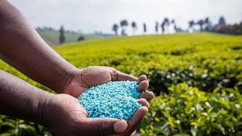 सरकार ने खरीफ मौसम के लिए किसानों पर पड़ने वाले प्रभाव और उनकी उर्वरक आवश्यकता का आकलन किया है। प्रधानमंत्री ने कहा कि पिछले कुछ वर्षों में उर्वरकों का पर्याप्त भंडार बनाए रखने के लिए उठाए गए कदम समय पर उपलब्धता और खाद्य सुरक्षा सुनिश्चित करेंगे।