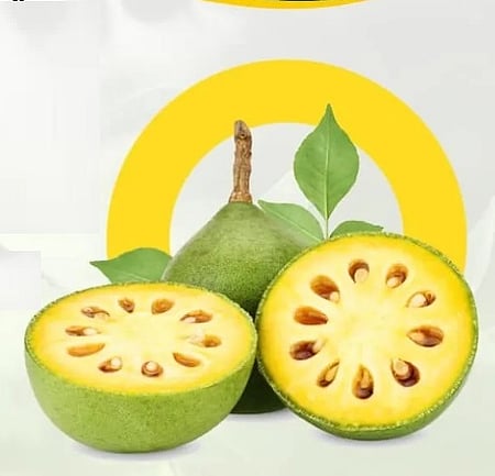  बेल का शर्बत