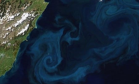 समुद्र में रंगों का अनोखा खेल, जलवायु के लिए क्यों जरूरी है