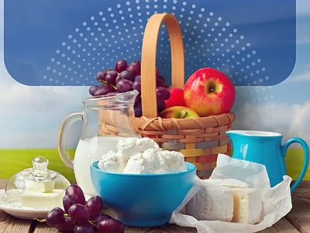 सुबह के नाश्ते में क्यों जरूरी है प्रोटीन, जानें प्लेट में क्या करें शामिल?