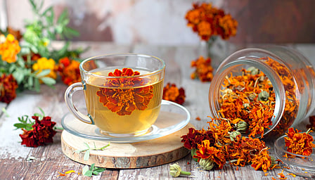 कमल, गुड़हल से मौलश्री तक... गर्मियों में ट्राई करें