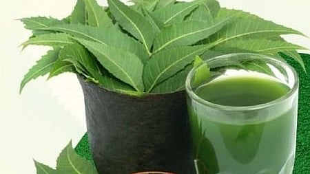 फायदेमंद है ये कड़वाहट : बीमारियों का काल तो लिवर के लिए