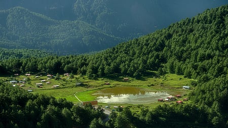 2030 तक शीत्सांग में वन कवरेज दर 12.61% से ज्यादा होगी