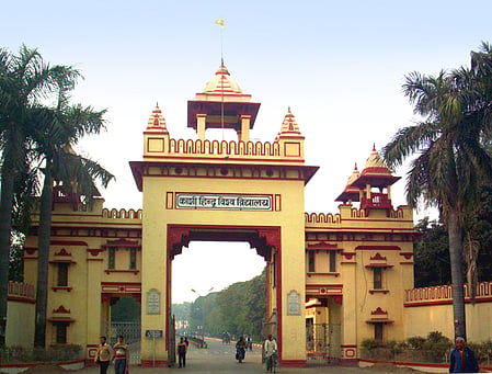 रिसर्चः प्राचीन पौधों के पास है मौसमी तनाव से जूझने की अलग रणनीति